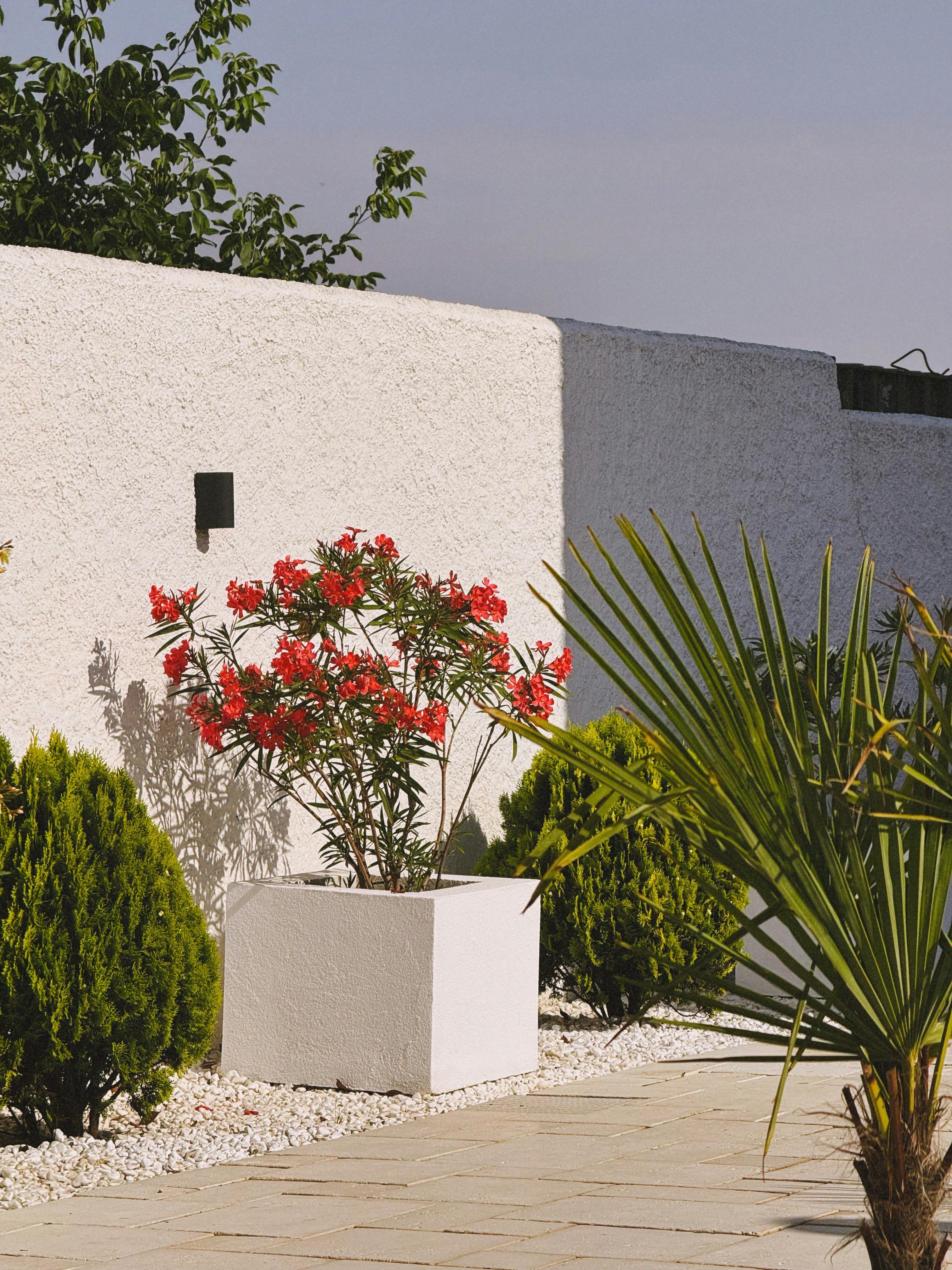 Bande de propreté — Hush Garden paysagiste