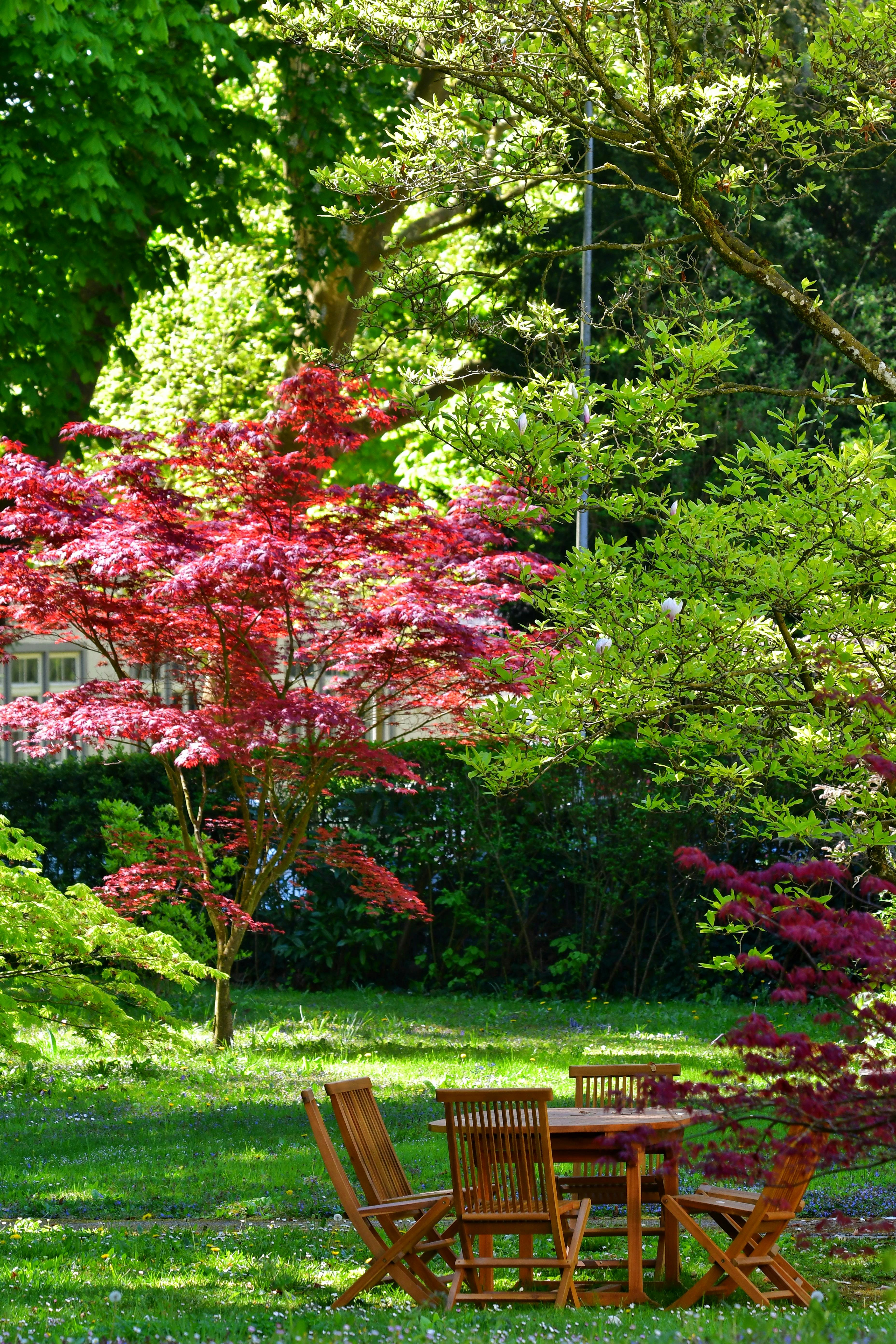 Jardin entretenu par Hush Garden, sous les arbres